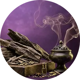 collection-img